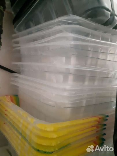 Контейнеры для рассады