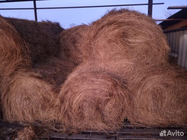 Сено в рулонах