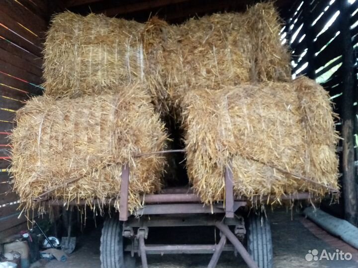 Продам солому и зерно овес с викой