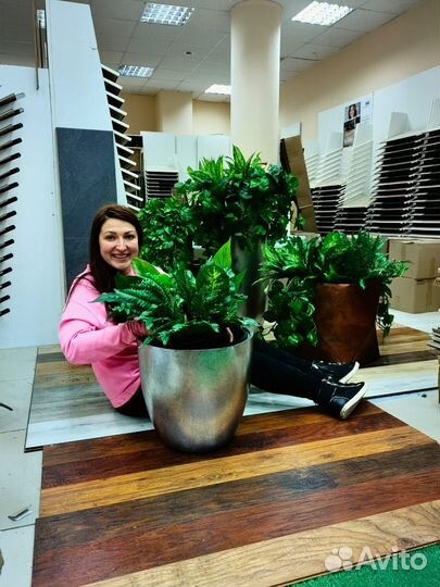 Растения, озеленение в кашпо, вазах, от