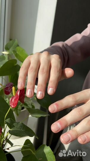 Маникюр Наращивание Москва Бирюлево Восточное