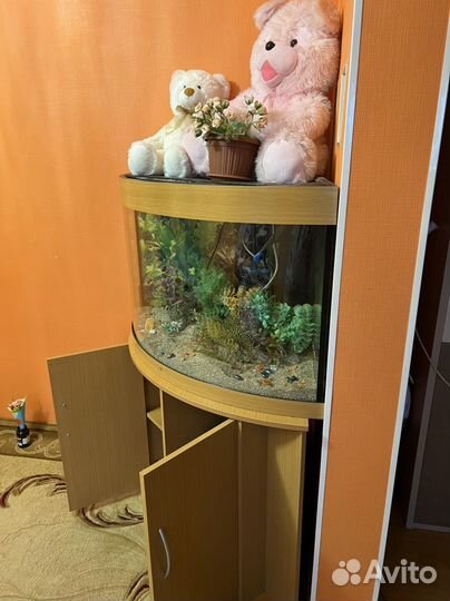 Аквариум Juwel 180 литров