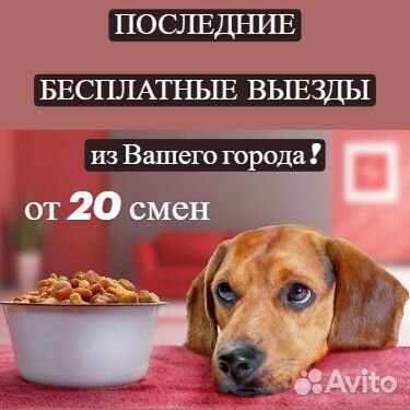 Упаковщики без опыта на вахту / выезд из Мценска/О
