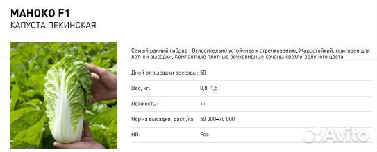 Маноко F1 капуста пекинская семена