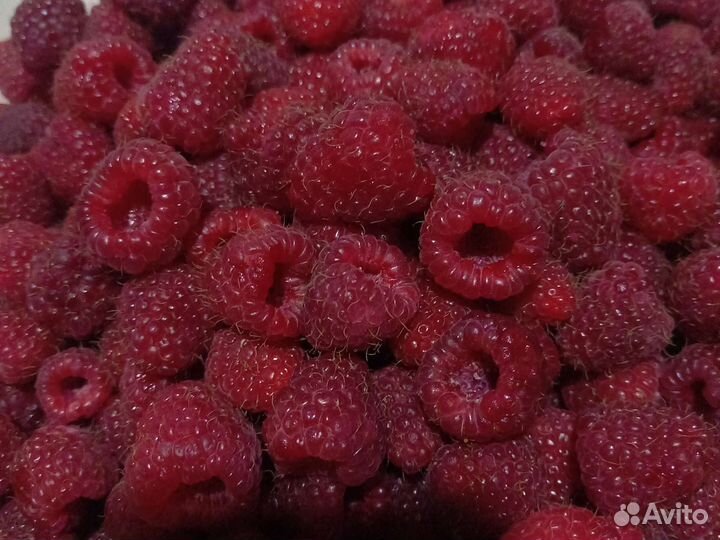 Малина ягода