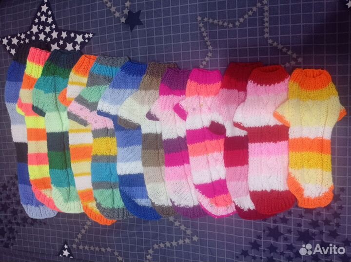 Одежда для животных