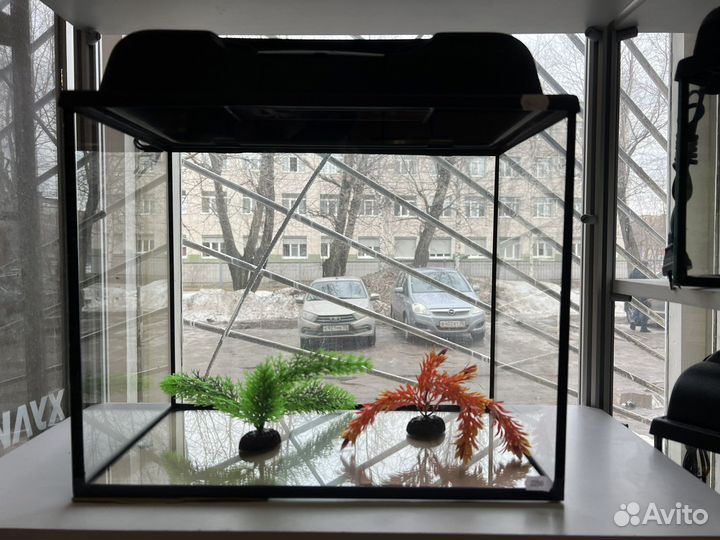 Аквариум новый