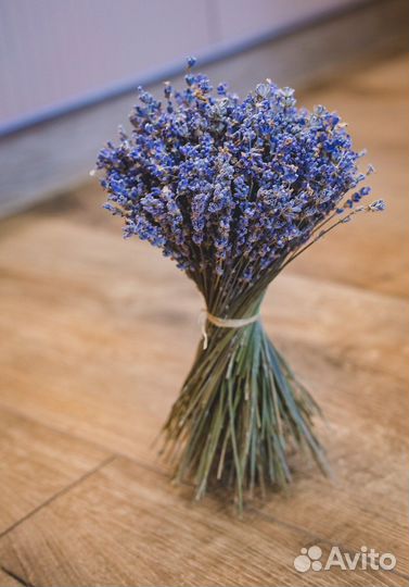 Лаванда букет / сухоцветы