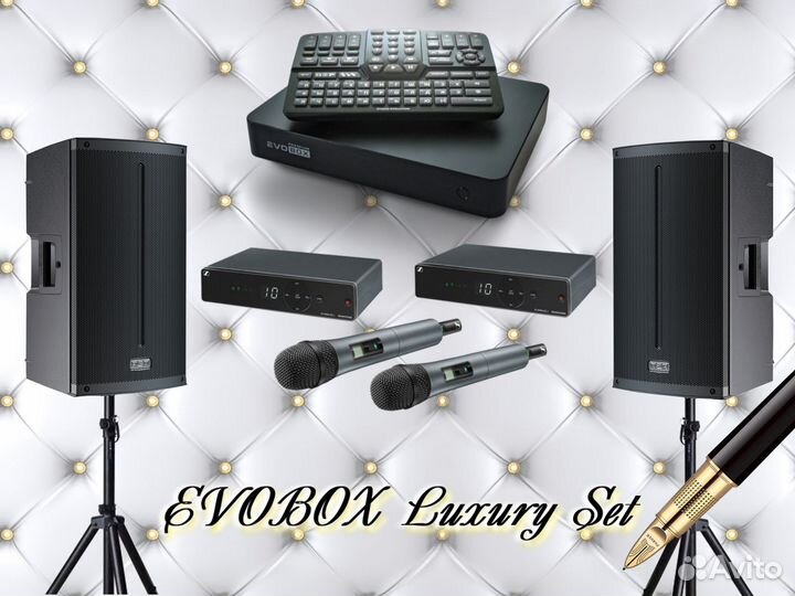 Караоке для дома комплект Evobox Luxury Set