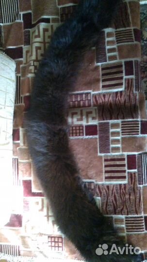 Воротник песца