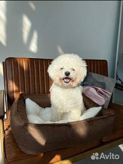 Лежанка для собак медких пород и кошек