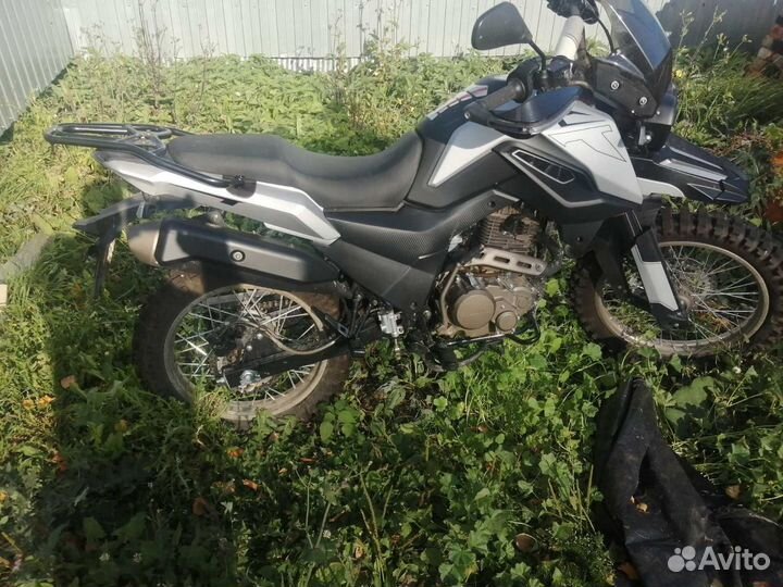 Shineray fireguard 250