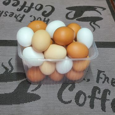Яйца домашних кур