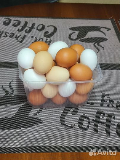 Яйца домашних кур