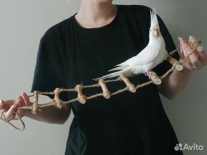 Лесенка подвесная для птиц