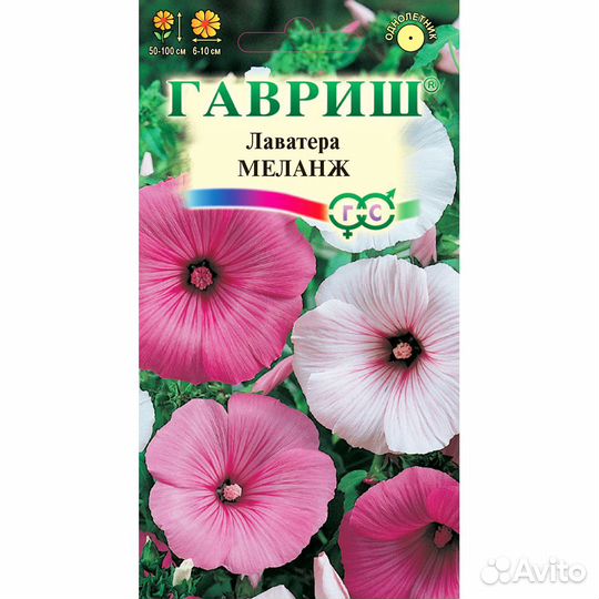 Лаватера Меланж