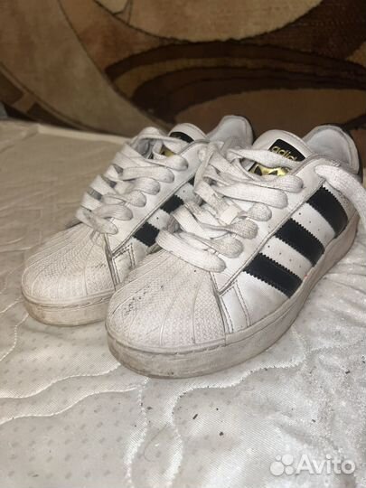 Кроссовки adidas superstar