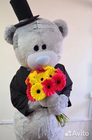 Аниматор Мишка Тедди)