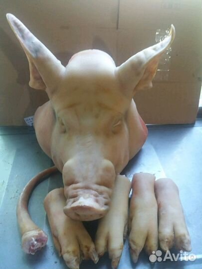 Свежее домашнее сало, свинная голова с ножками