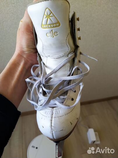 Фигурные коньки jackson elle 13c