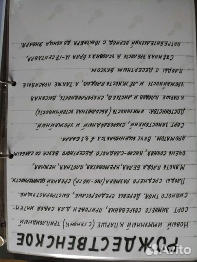 Продаю саженцы