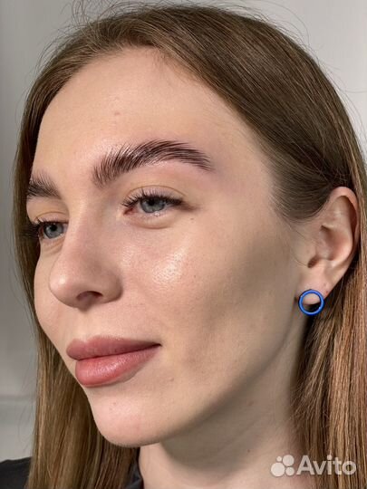 Брови Северск