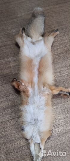 Мех рыжей лисы