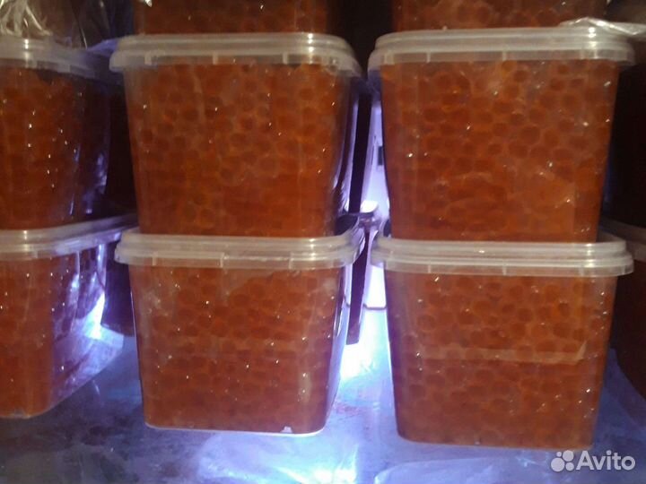 Красная икра 2023