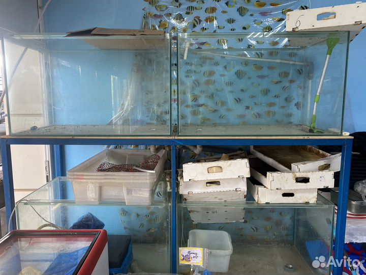 Аквариумы 360л