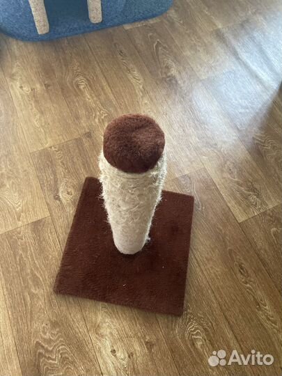 Когтеточка для кошек