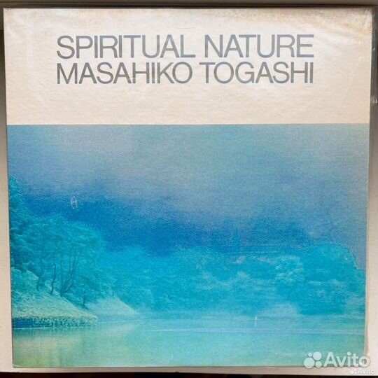 Masahiko togashi - spiritual nature