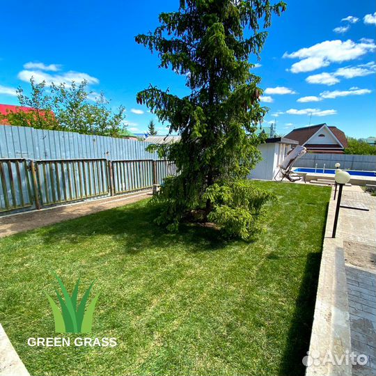 Рулонный газон