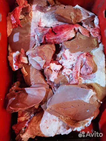 Мясо говядина для собак