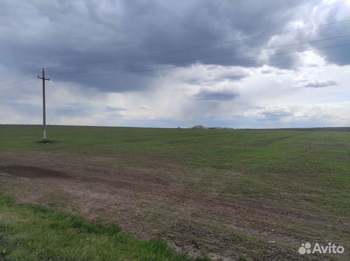 Сельское хозяйство