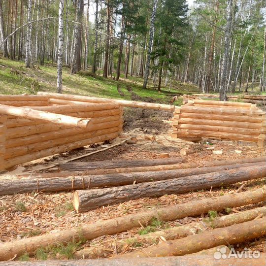 Срубы бань 3х4, 3х5, 3х6 из сосны