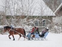 Сани для лошади