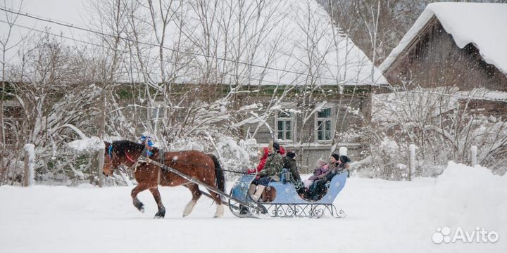 Сани для лошади