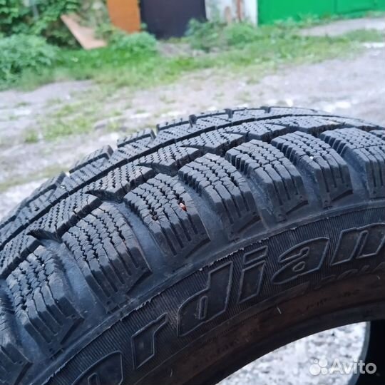 Cordiant Polar 195/65 R15