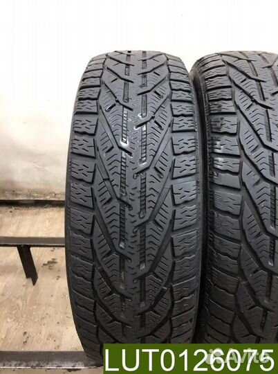 Tigar Winter 195/65 R15 95T