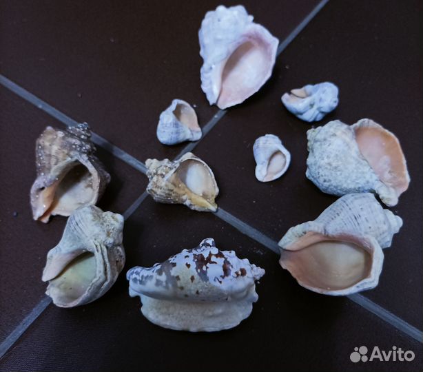 Аксессуары для аквариума