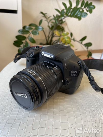 Canon eos 550d