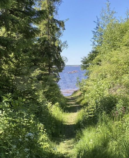 Участок 12,3 сот. (ИЖС)