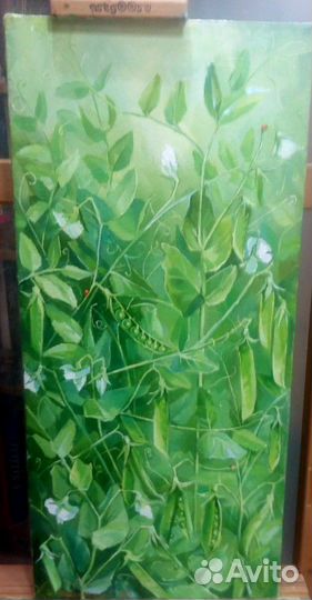 Продам картины. Написаны маслом на холсте, многие