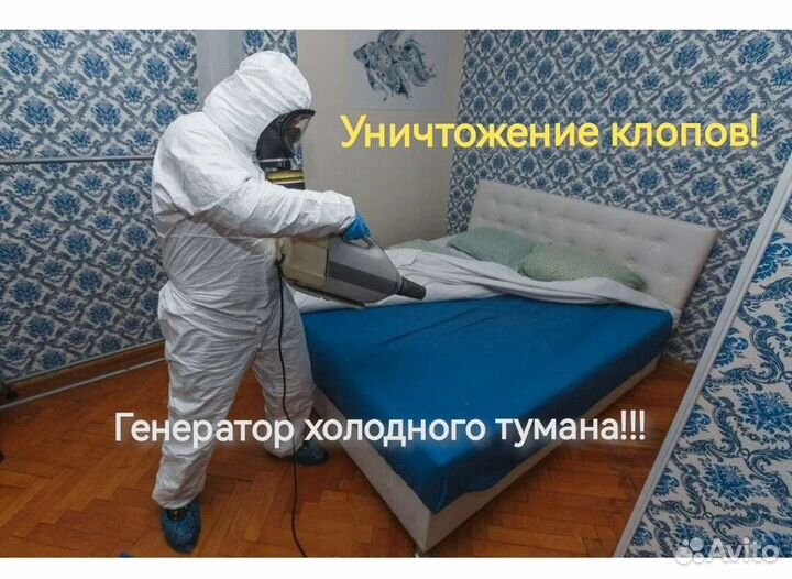 Дезинсекция от тараканов и клопов