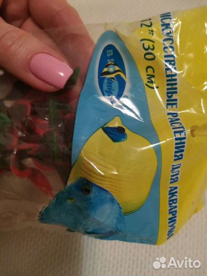 Аквариумные растения