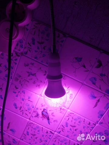 Лампы для цветов