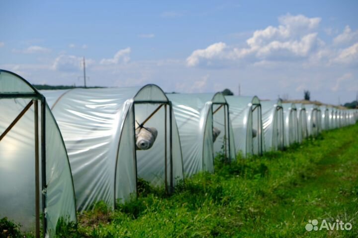 Пленка тепличная 6х50м 150 микрон