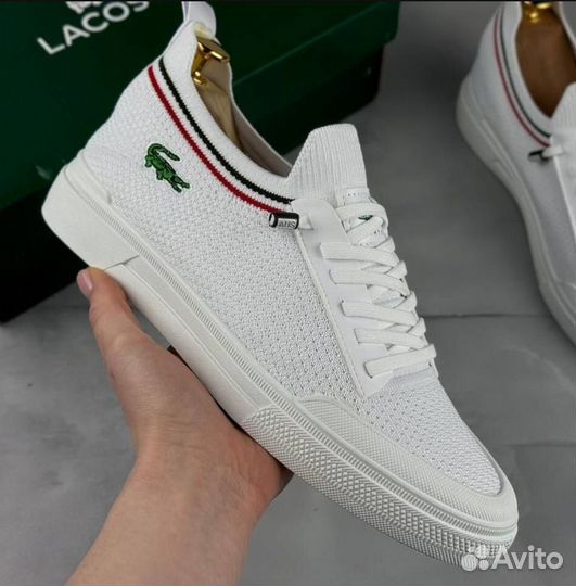 Кеды кроссовки полуботинки Lacoste великаны