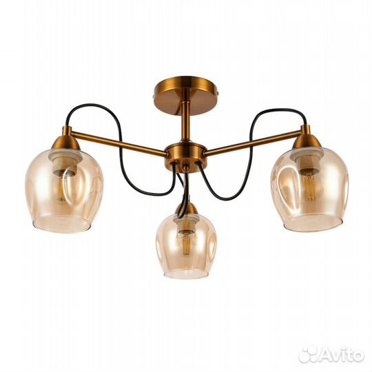 Потолочный светильник evoluce acro SLE110002-03