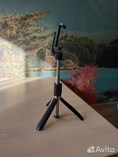 Селфи палка